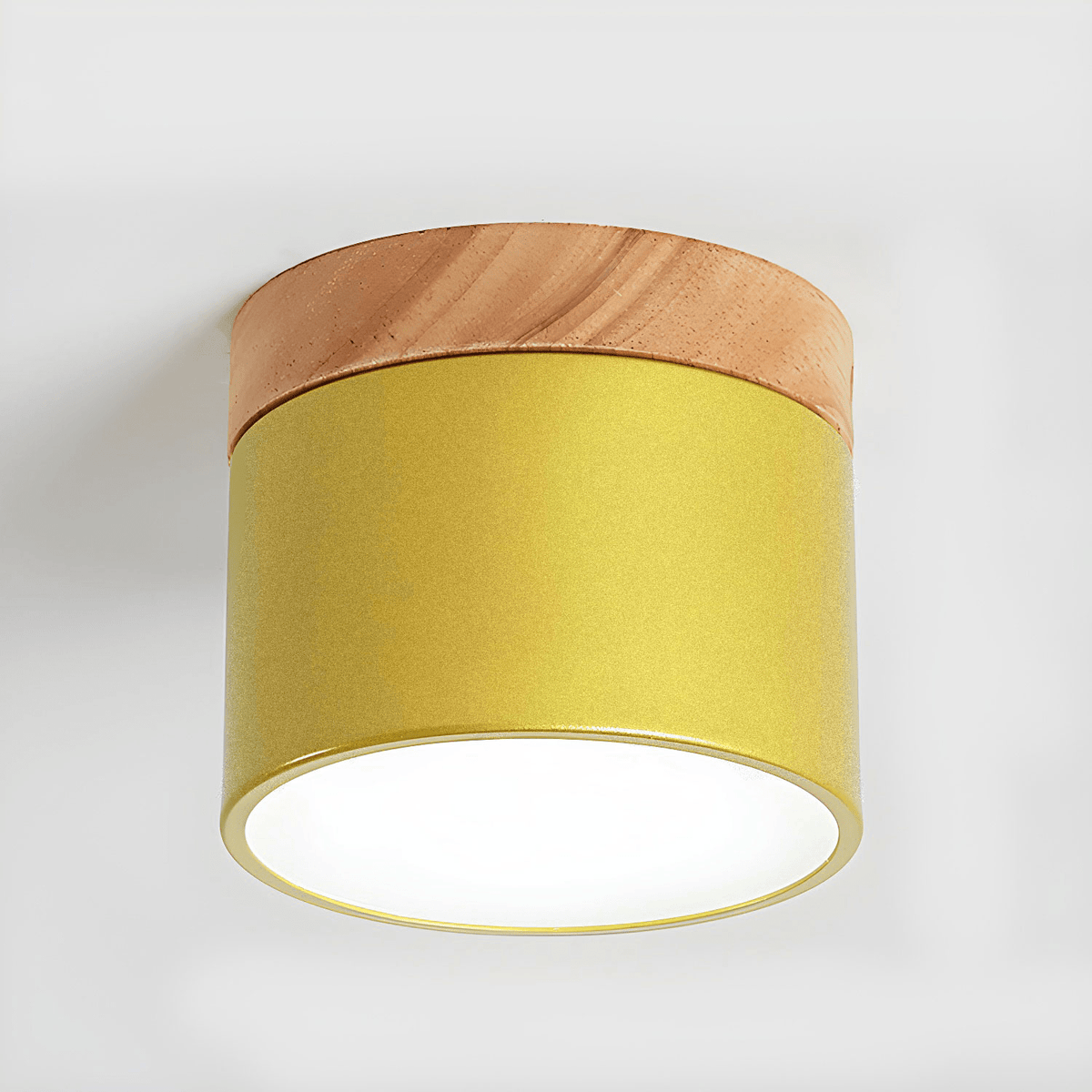 Ember Cylinder Ceiling Light