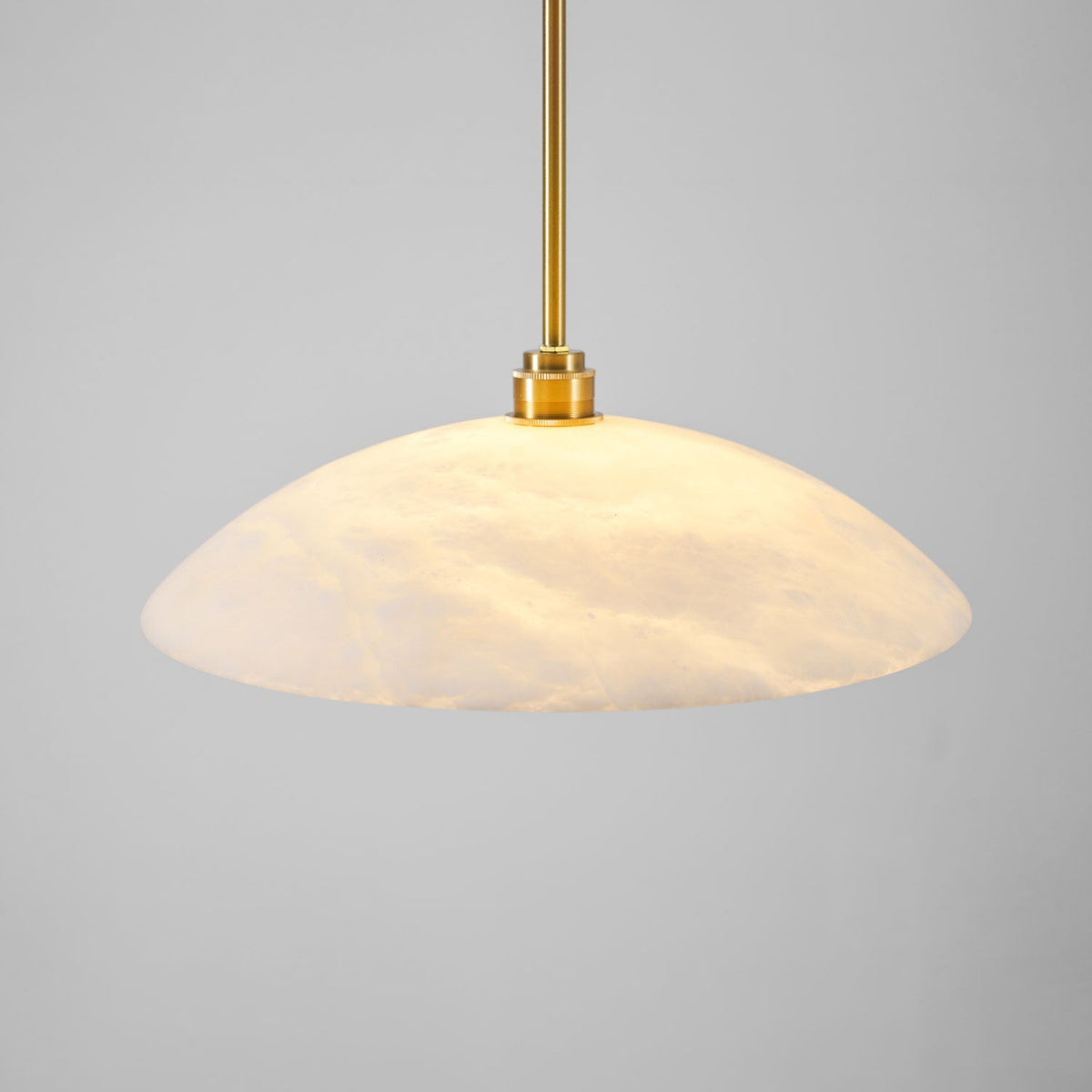 Vein Dome Pendant Light