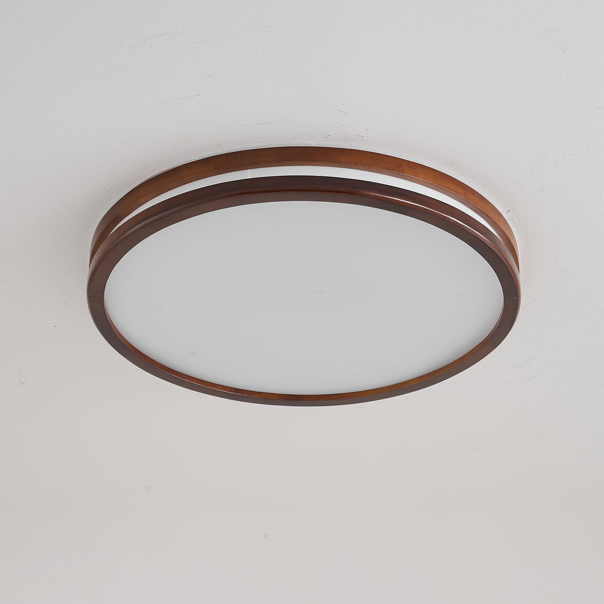 Double Rim Ceiling Light