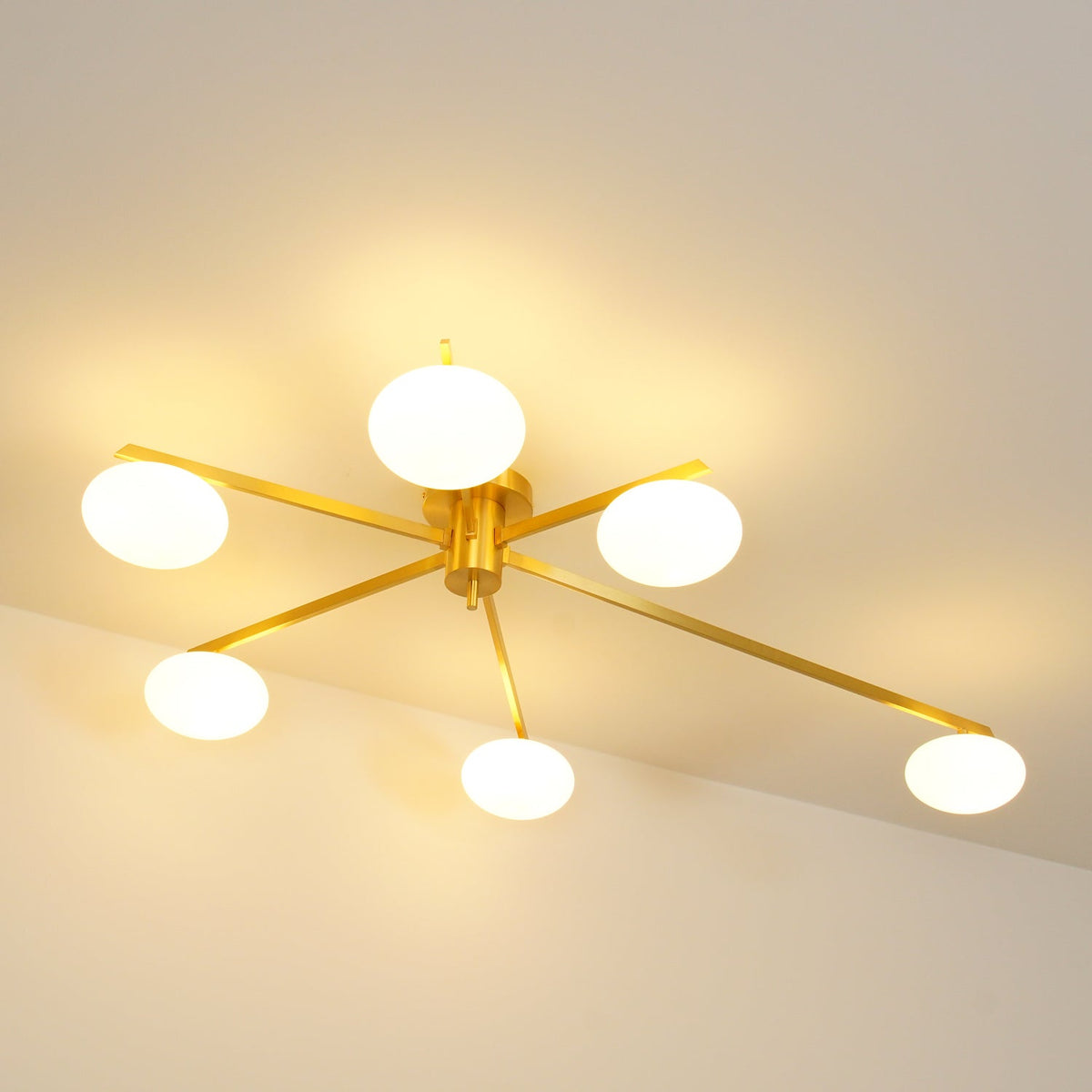 Branch Globe Ceiling Light