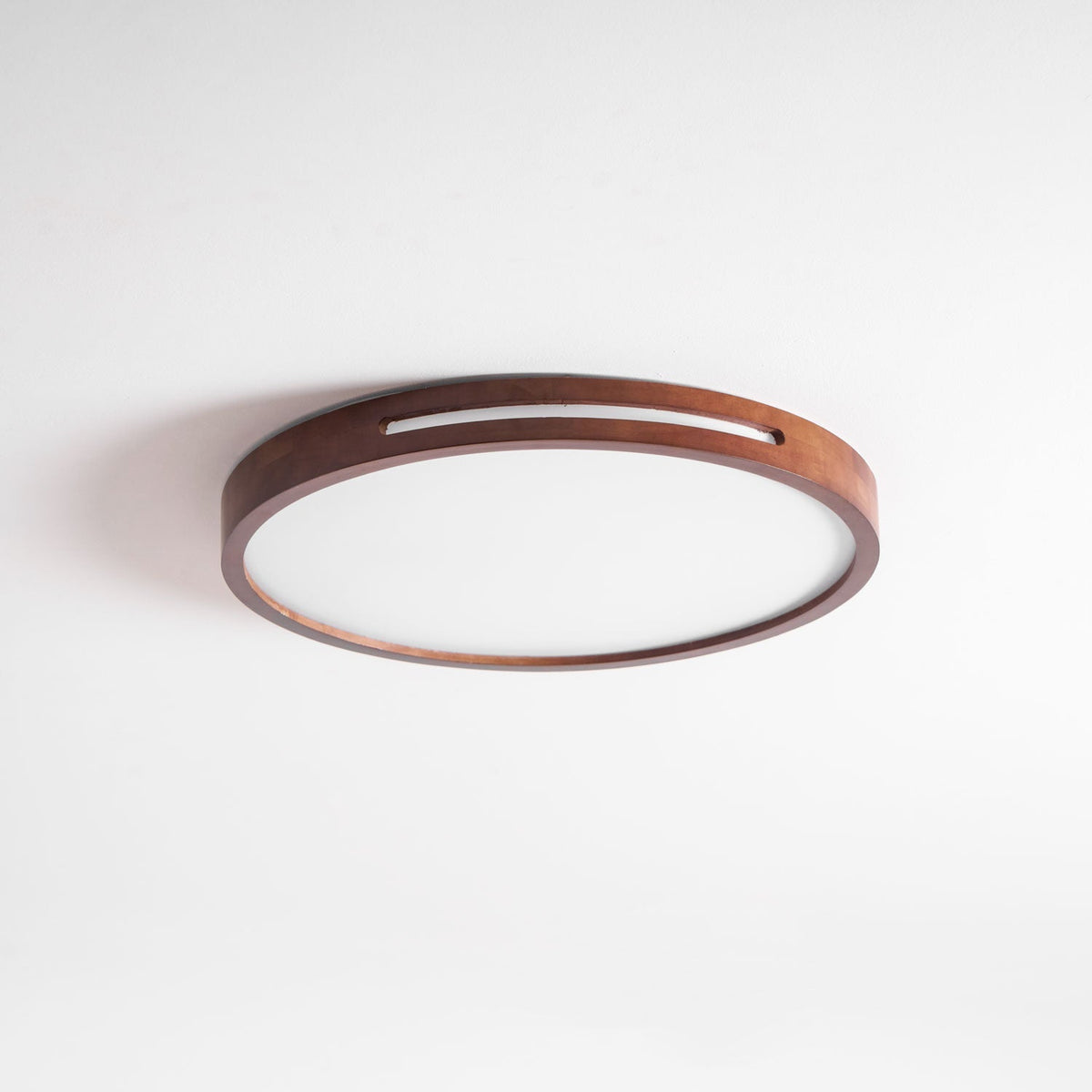 Solace Ring Ceiling Light