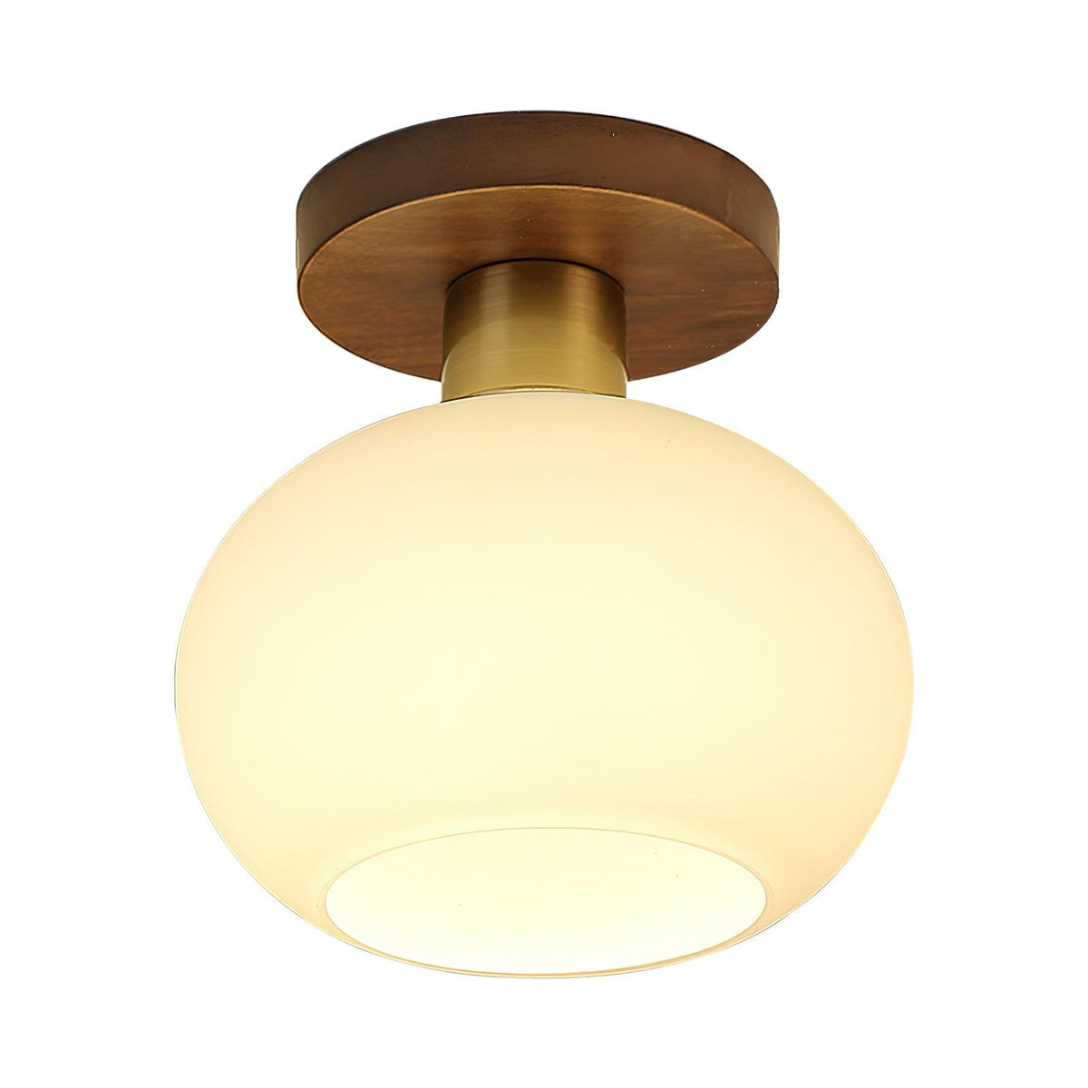 Still Globe Ceiling Light