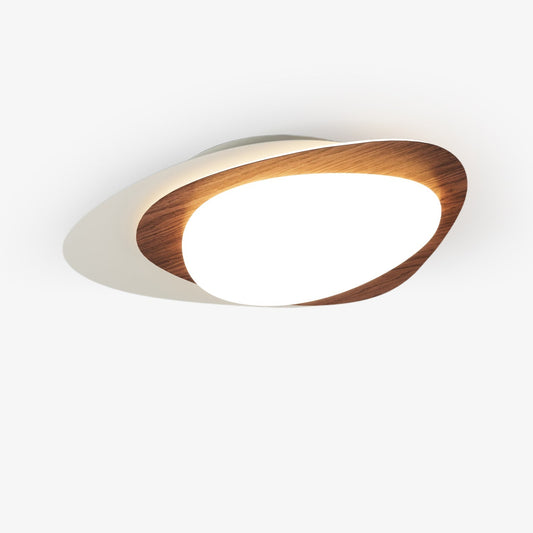 Offset Orbit Ceiling Light