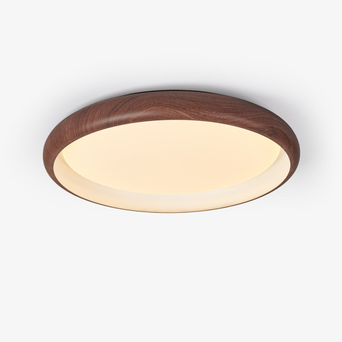 Grove Ring Ceiling Light