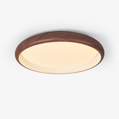 Grove Ring Ceiling Light