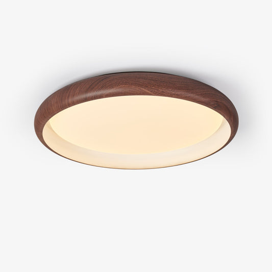 Grove Ring Ceiling Light