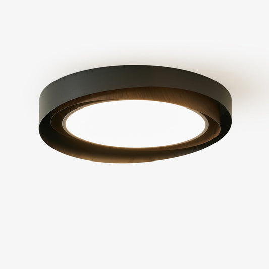 Offset Ring Ceiling Light