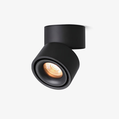Fine Surface Ceiling Light