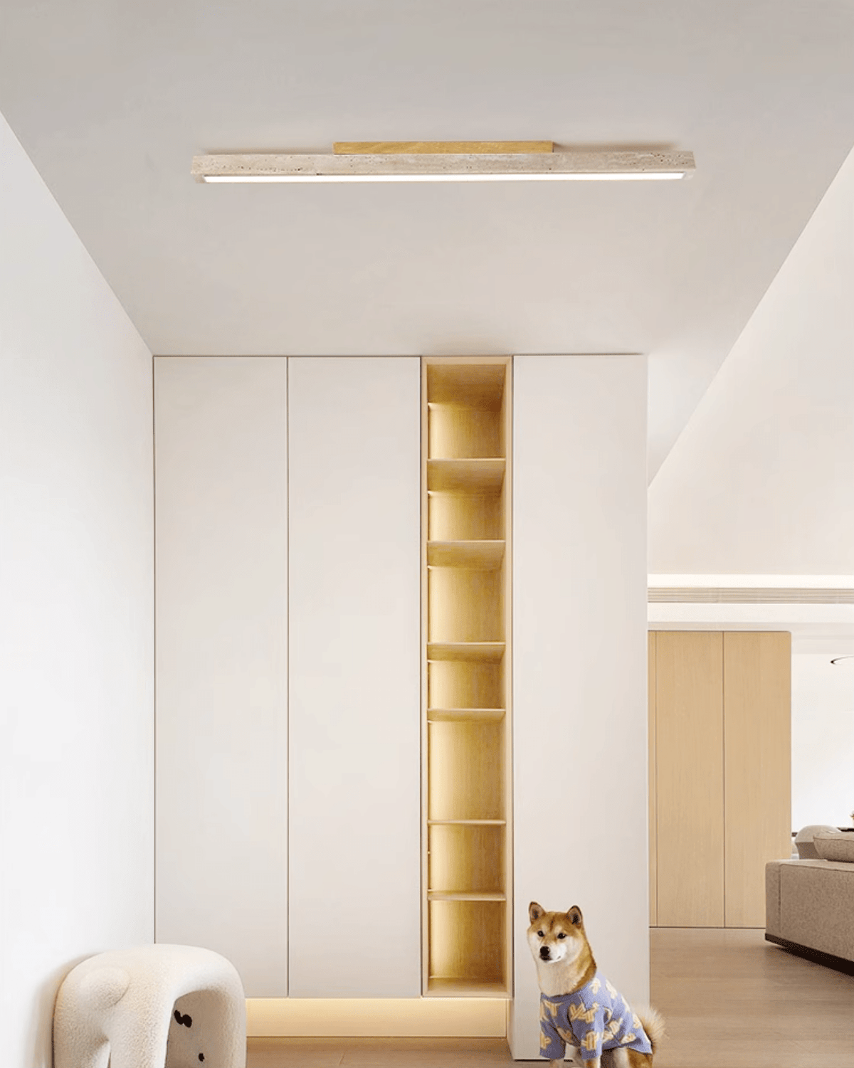 Stratum Rail Ceiling Light