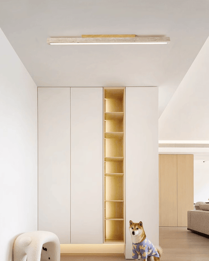 Stratum Rail Ceiling Light