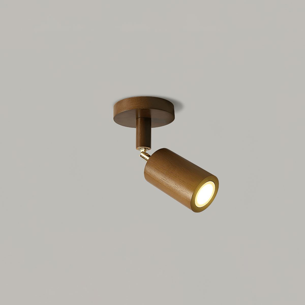Branch Rail Ceiling Light
