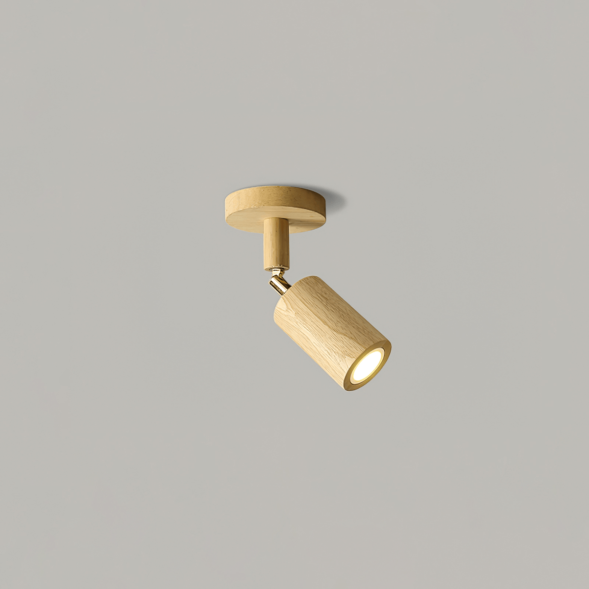 Branch Rail Ceiling Light
