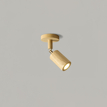 Branch Rail Ceiling Light