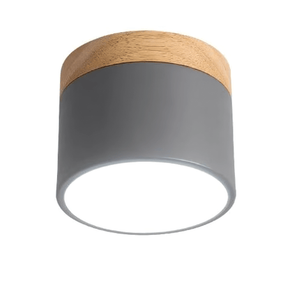 Ember Cylinder Ceiling Light