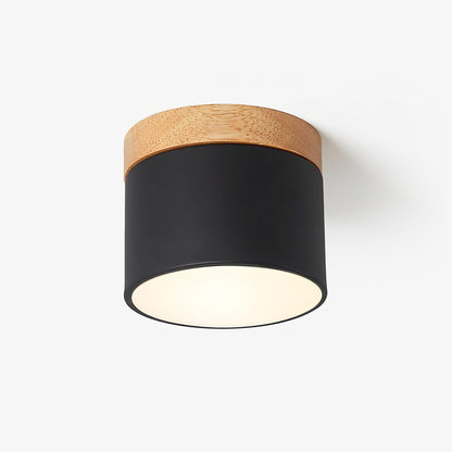 Ember Cylinder Ceiling Light