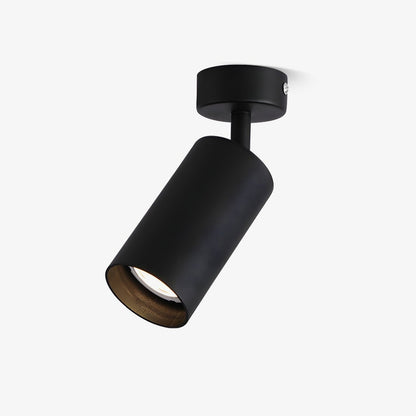 Fine Pivot Ceiling Light
