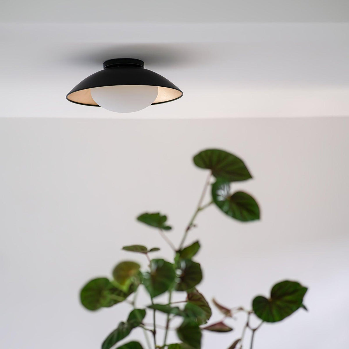 Cap Globe Ceiling Light