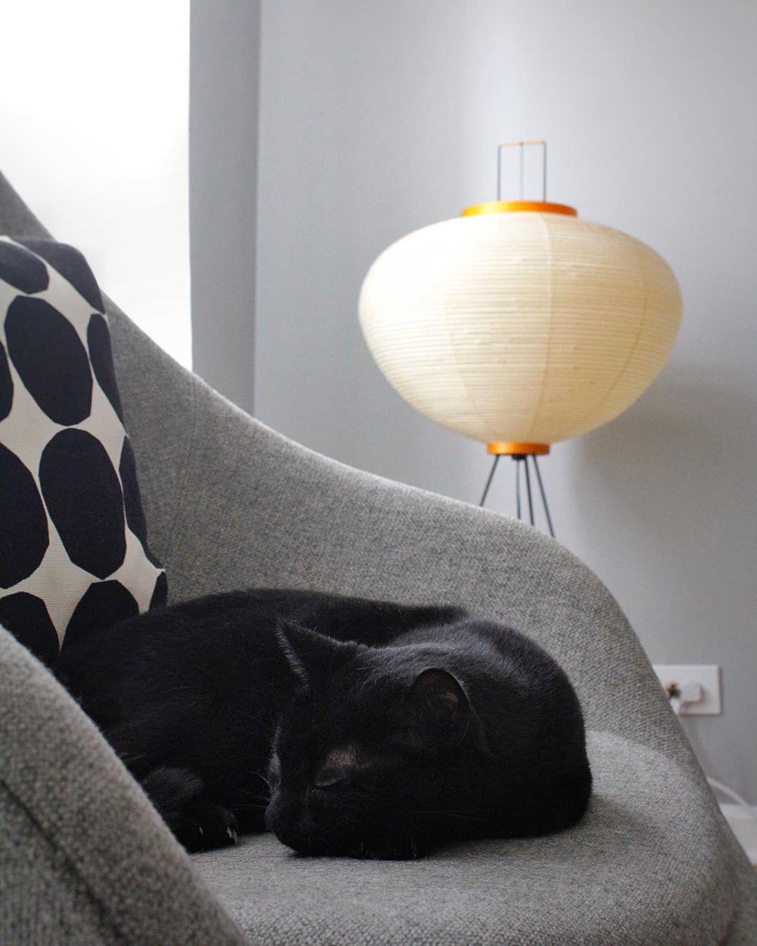 Loft Lantern Floor Lamp