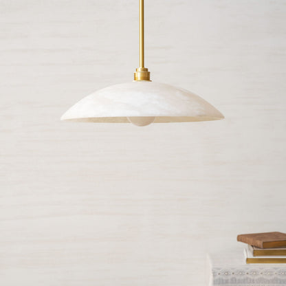 Vein Dome Pendant Light