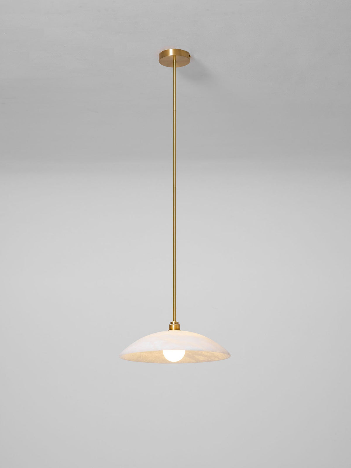 Vein Dome Pendant Light
