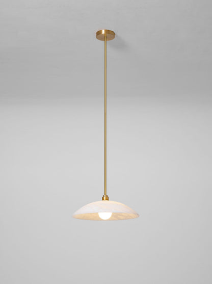 Vein Dome Pendant Light