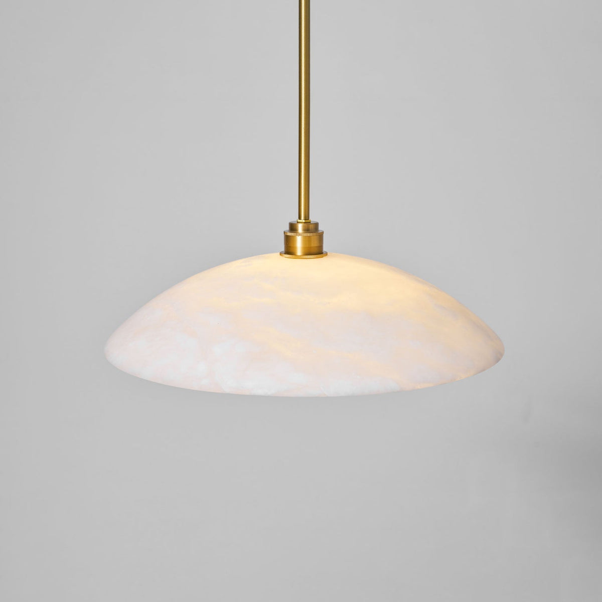 Vein Dome Pendant Light