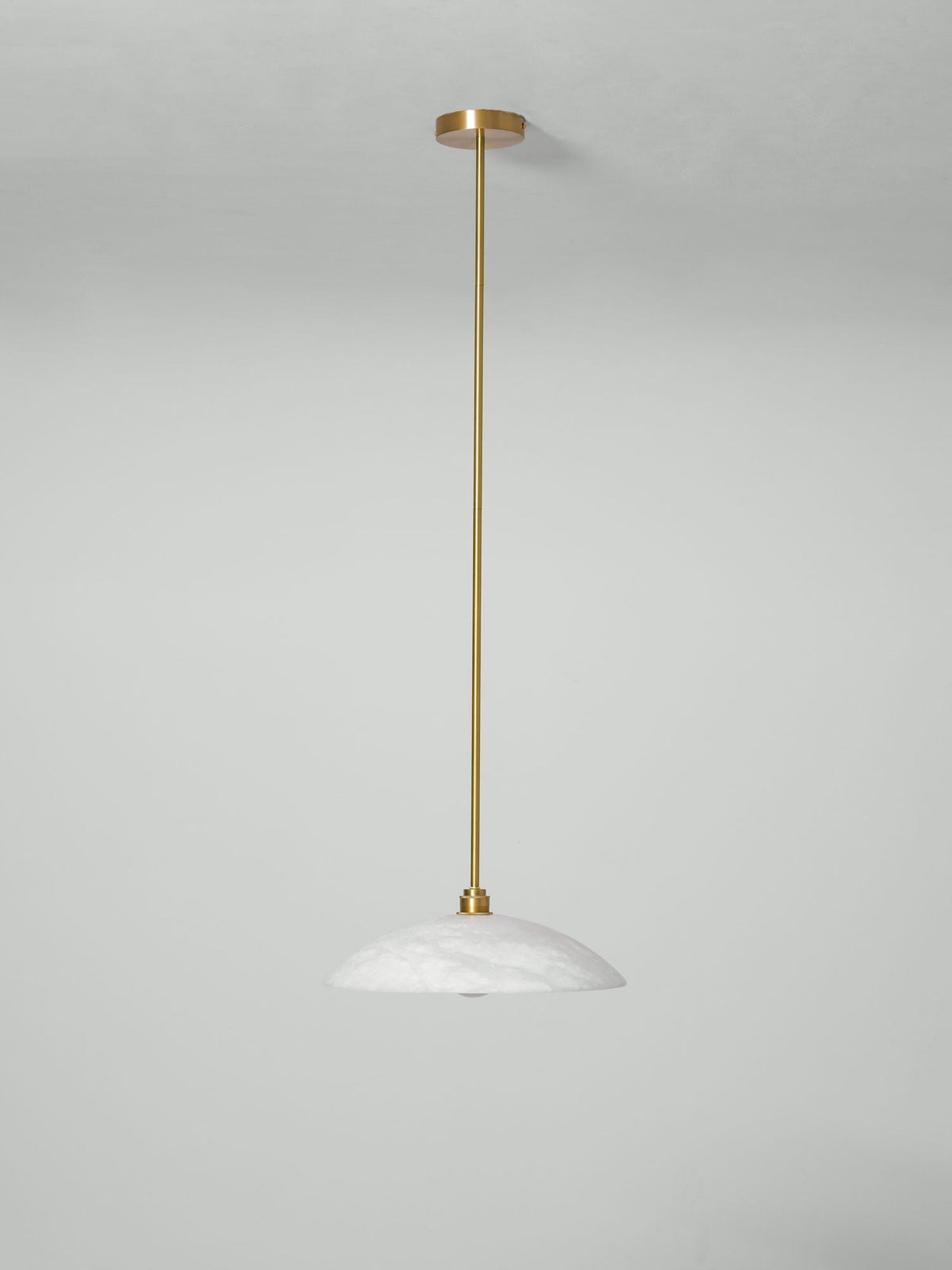 Vein Dome Pendant Light