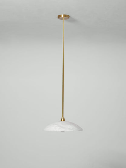 Vein Dome Pendant Light