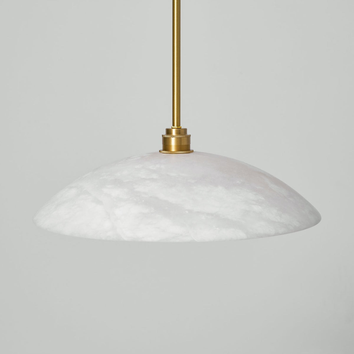 Vein Dome Pendant Light
