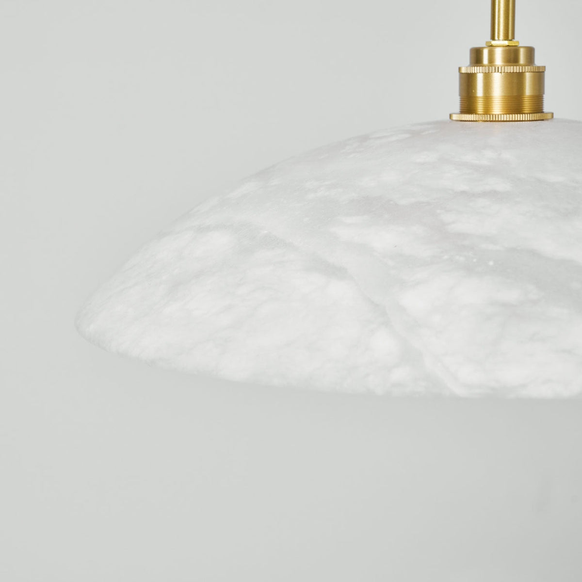 Vein Dome Pendant Light