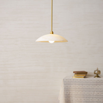 Vein Dome Pendant Light