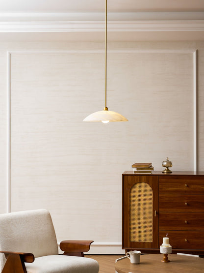 Vein Dome Pendant Light
