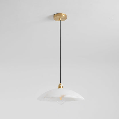 Vein Dome Pendant Light