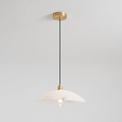 Vein Dome Pendant Light