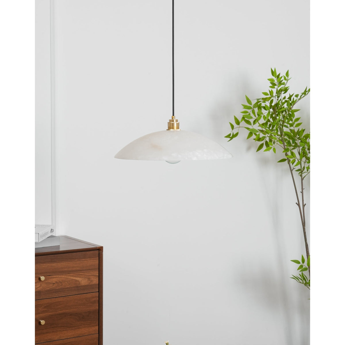 Vein Dome Pendant Light