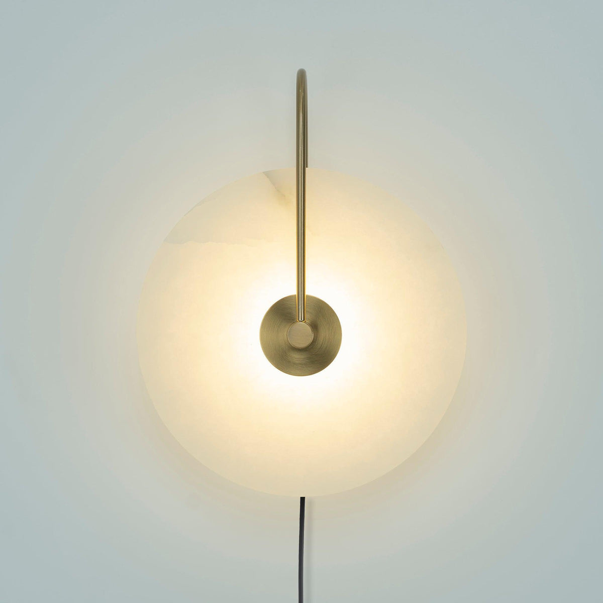 Vein Disc Plug-in Wall Light