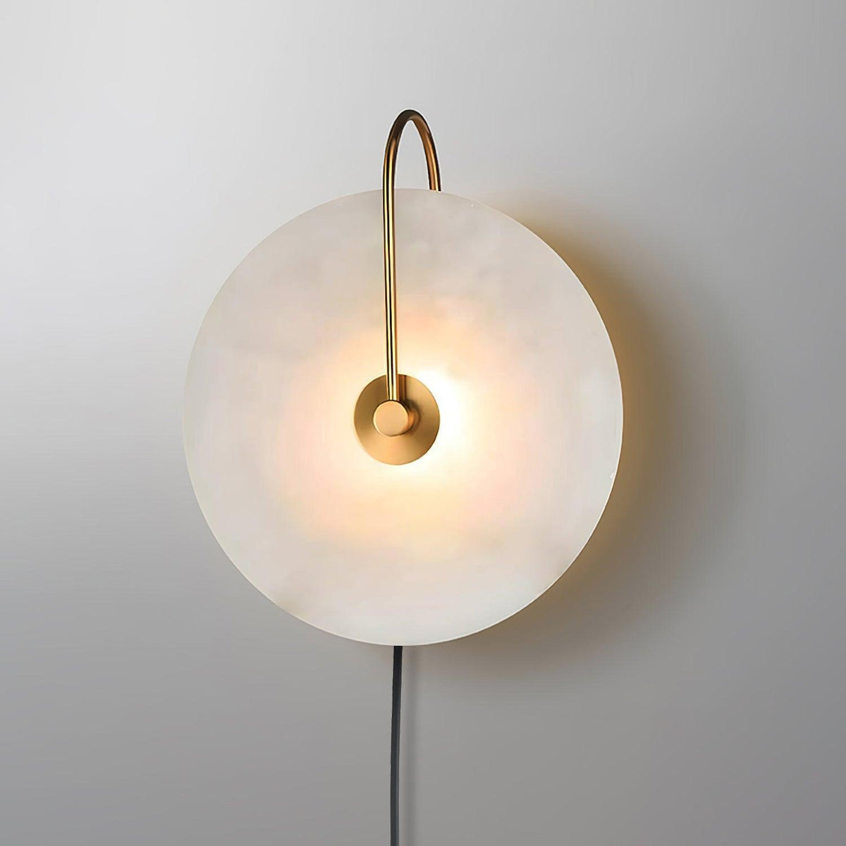 Vein Disc Plug-in Wall Light