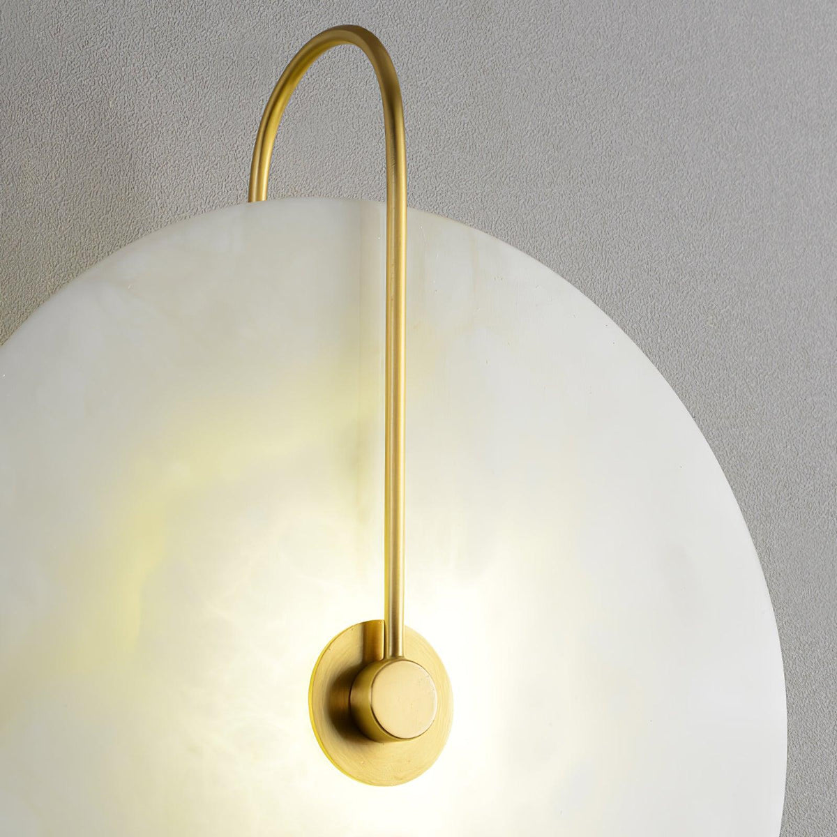 Vein Disc Plug-in Wall Light