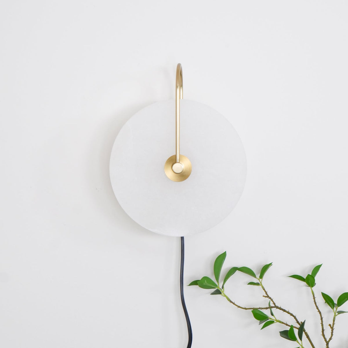 Vein Disc Plug-in Wall Light