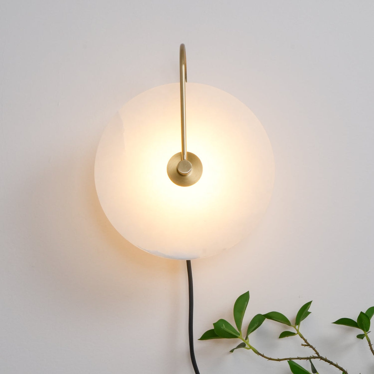 Vein Disc Plug-in Wall Light