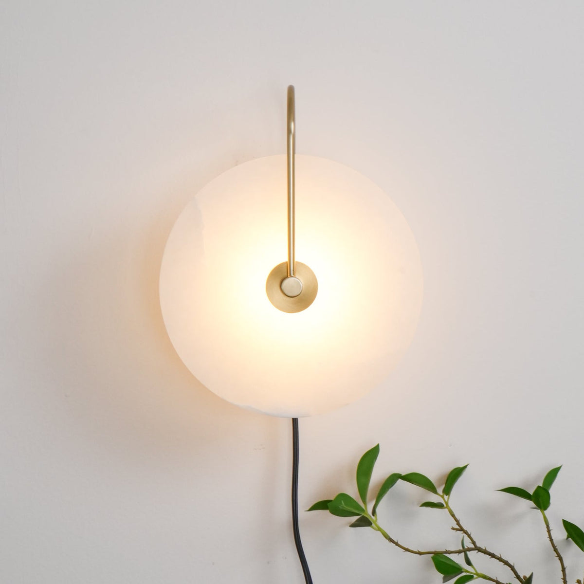 Vein Disc Plug-in Wall Light