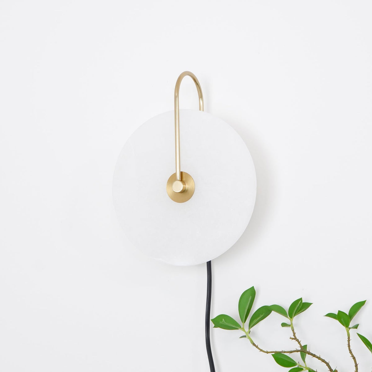 Vein Disc Plug-in Wall Light