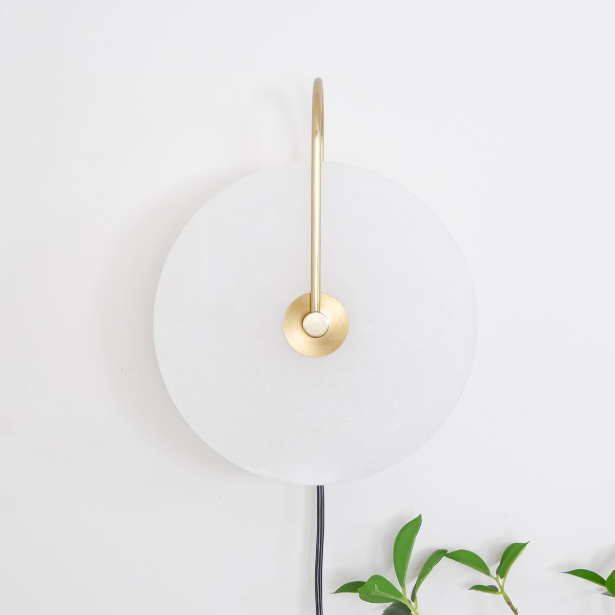 Vein Disc Plug-in Wall Light