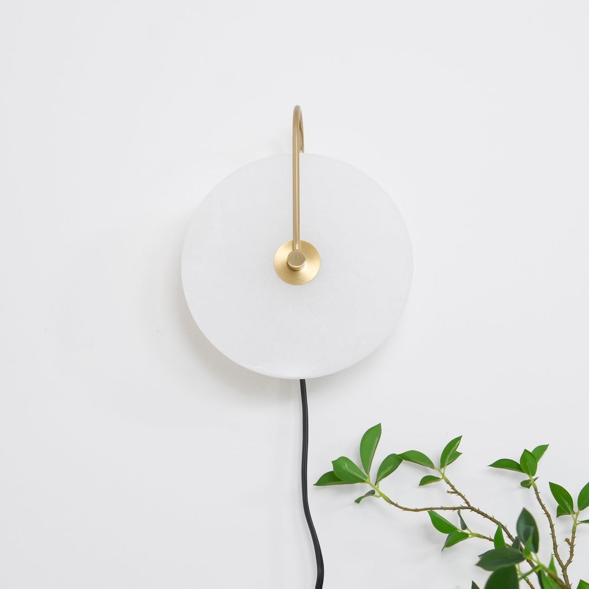 Vein Disc Plug-in Wall Light