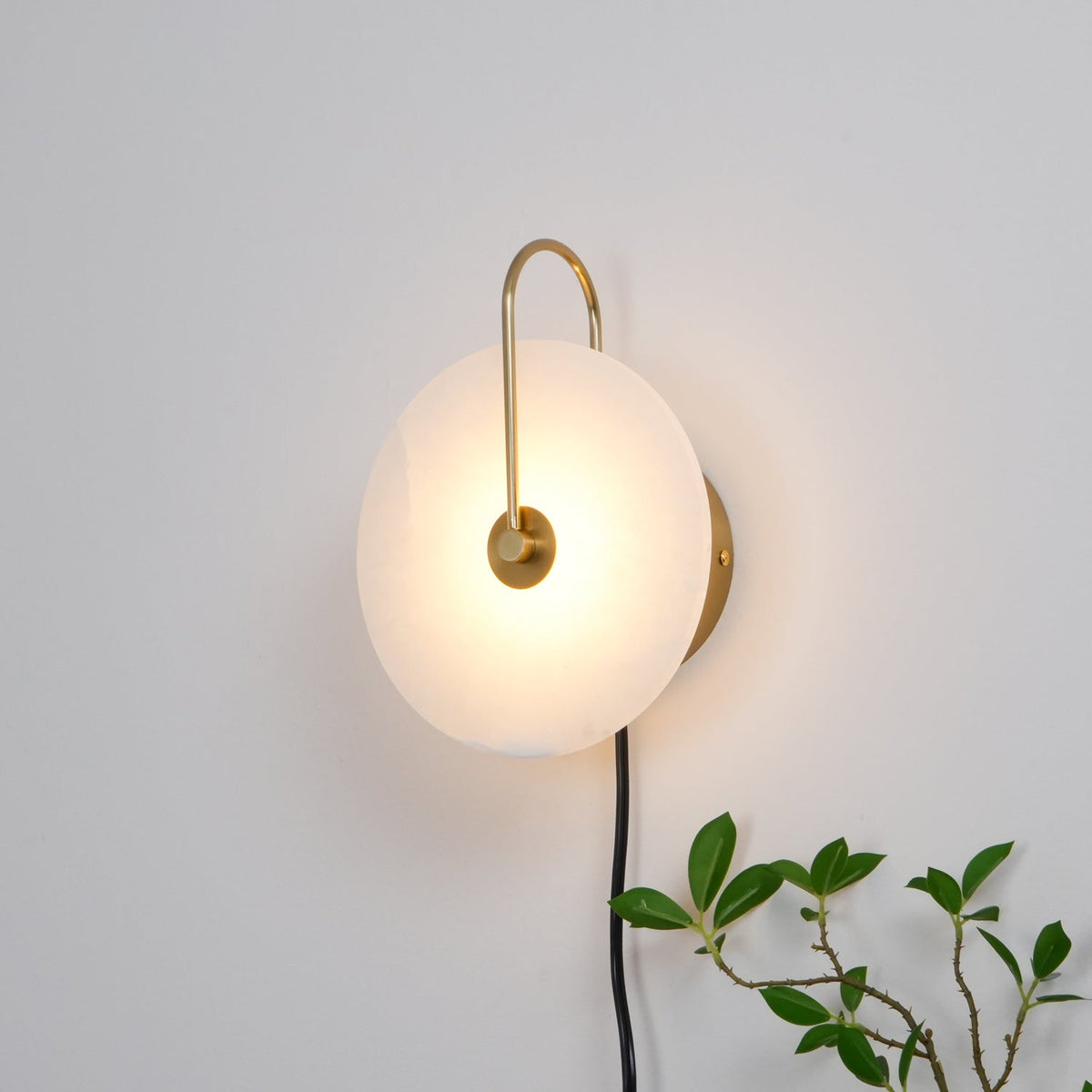 Vein Disc Plug-in Wall Light