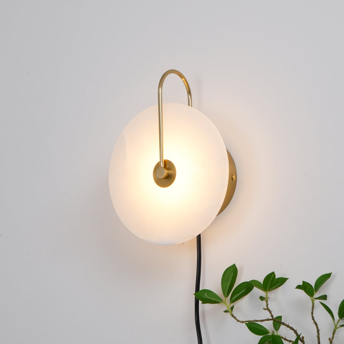 Vein Disc Plug-in Wall Light