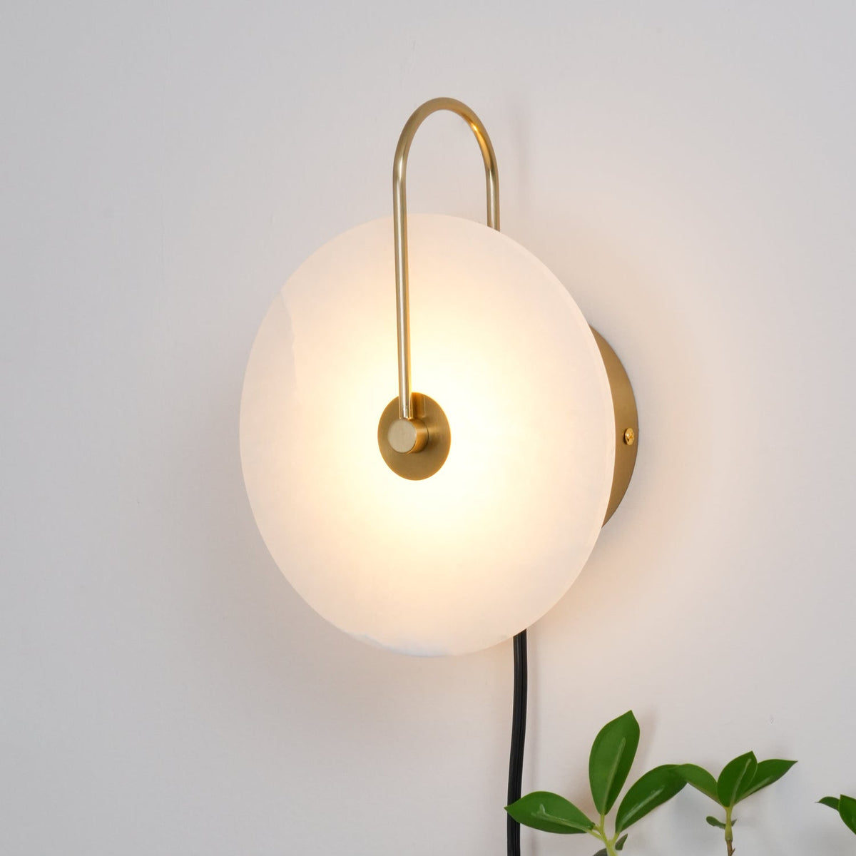 Vein Disc Plug-in Wall Light