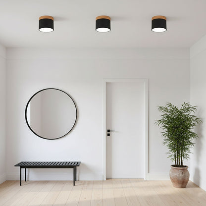 Ember Cylinder Ceiling Light