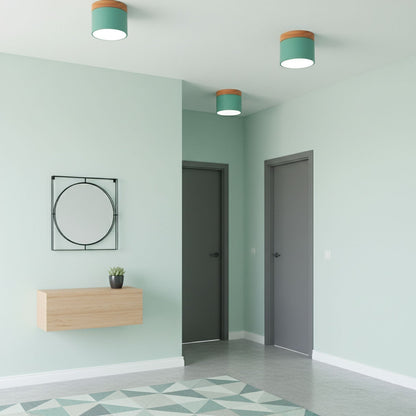 Ember Cylinder Ceiling Light