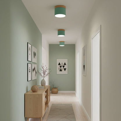 Ember Cylinder Ceiling Light